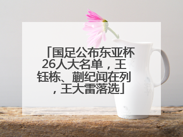 国足公布东亚杯26人大名单，王钰栋、蒯纪闻在列，王大雷落选