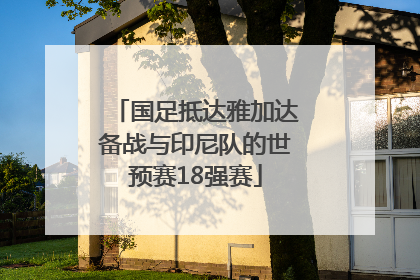国足抵达雅加达备战与印尼队的世预赛18强赛