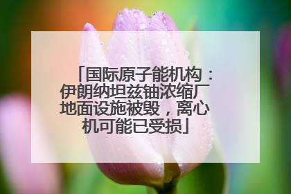 国际原子能机构：伊朗纳坦兹铀浓缩厂地面设施被毁，离心机可能已受损