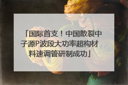 国际首支！中国散裂中子源P波段大功率超构材料速调管研制成功