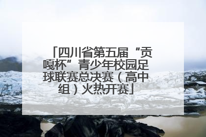 四川省第五届“贡嘎杯”青少年校园足球联赛总决赛（高中组）火热开赛