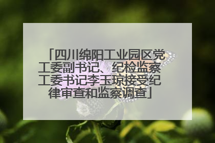 四川绵阳工业园区党工委副书记、纪检监察工委书记李玉琼接受纪律审查和监察调查