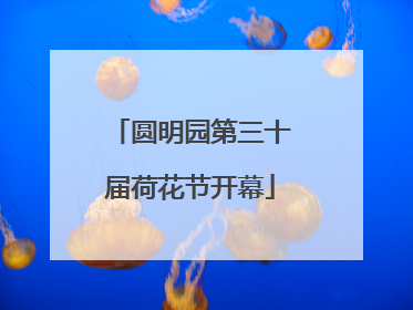圆明园第三十届荷花节开幕