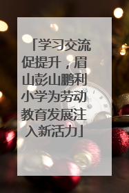 学习交流促提升，眉山彭山鹏利小学为劳动教育发展注入新活力