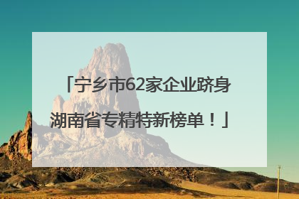 宁乡市62家企业跻身湖南省专精特新榜单！