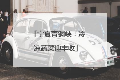 宁夏青铜峡：冷凉蔬菜迎丰收