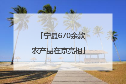 宁夏670余款农产品在京亮相