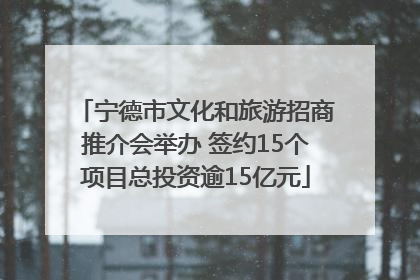 宁德市文化和旅游招商推介会举办 签约15个项目总投资逾15亿元