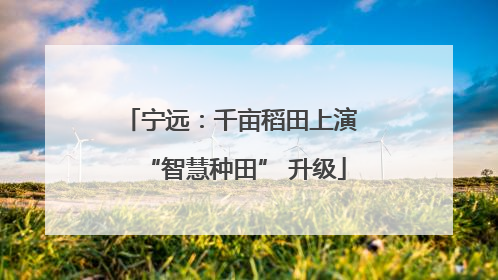 宁远：千亩稻田上演 “智慧种田” 升级