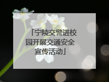 宁陵交警进校园开展交通安全宣传活动