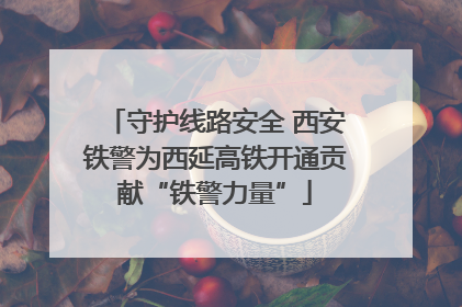 守护线路安全 西安铁警为西延高铁开通贡献“铁警力量”