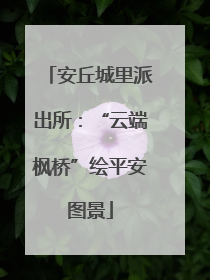安丘城里派出所：“云端枫桥”绘平安图景