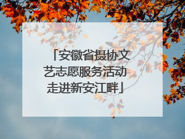 安徽省摄协文艺志愿服务活动走进新安江畔
