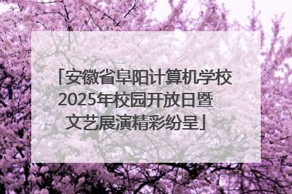 安徽省阜阳计算机学校2025年校园开放日暨文艺展演精彩纷呈