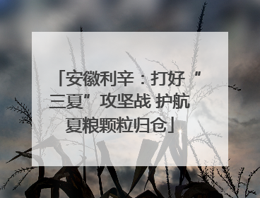 安徽利辛：打好“三夏”攻坚战 护航夏粮颗粒归仓