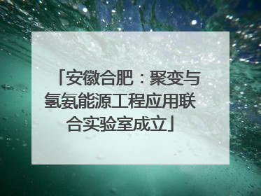安徽合肥：聚变与氢氨能源工程应用联合实验室成立