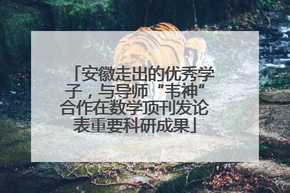安徽走出的优秀学子，与导师“韦神”合作在数学顶刊发论表重要科研成果