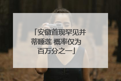 安徽首现罕见并蒂睡莲 概率仅为百万分之一