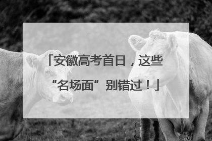 安徽高考首日，这些“名场面”别错过！