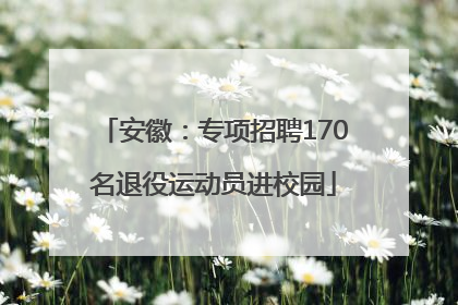 安徽：专项招聘170名退役运动员进校园