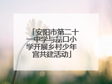 安阳市第二十一中学与磊口小学开展乡村少年宫共建活动