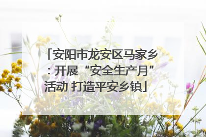 安阳市龙安区马家乡：开展“安全生产月”活动 打造平安乡镇
