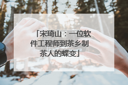 宋琦山：一位软件工程师到茶乡制茶人的蝶变