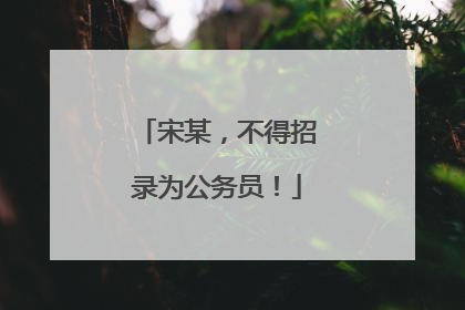 宋某，不得招录为公务员！