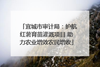 宜城市审计局：护航红薯育苗灌溉项目 助力农业增效农民增收
