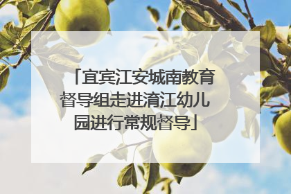 宜宾江安城南教育督导组走进淯江幼儿园进行常规督导