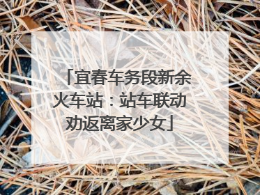 宜春车务段新余火车站：站车联动劝返离家少女