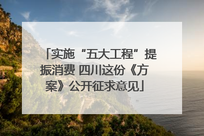 实施“五大工程”提振消费 四川这份《方案》公开征求意见