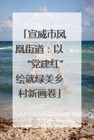 宣威市凤凰街道：以“党建红”绘就绿美乡村新画卷