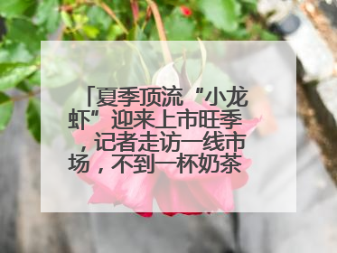 夏季顶流“小龙虾”迎来上市旺季，记者走访一线市场，不到一杯奶茶钱就能买斤虾