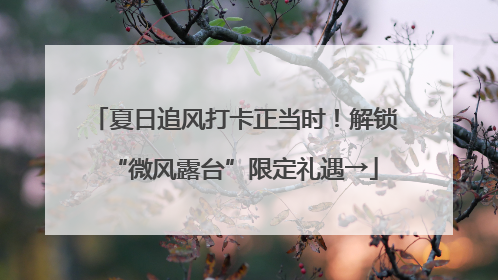 夏日追风打卡正当时！解锁“微风露台”限定礼遇→
