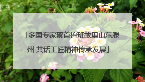 多国专家聚首鲁班故里山东滕州 共话工匠精神传承发展