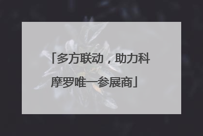多方联动，助力科摩罗唯一参展商