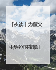 夜读丨为萤火虫哭泣的夜晚