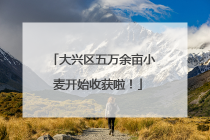 大兴区五万余亩小麦开始收获啦！