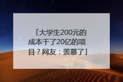 大学生200元的成本干了20亿的项目？网友：羡慕了