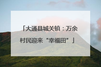 大通县城关镇：万余村民迎来“幸福田”