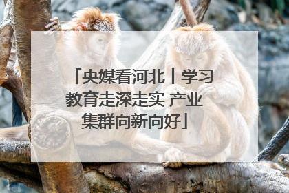 央媒看河北丨学习教育走深走实 产业集群向新向好