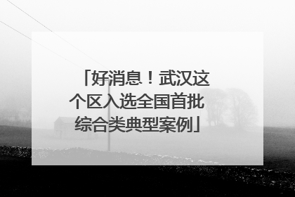 好消息！武汉这个区入选全国首批综合类典型案例
