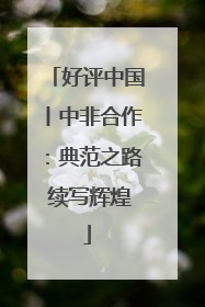 好评中国丨中非合作：典范之路 续写辉煌