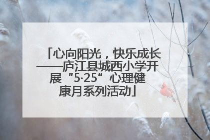 心向阳光，快乐成长——庐江县城西小学开展“5·25”心理健康月系列活动