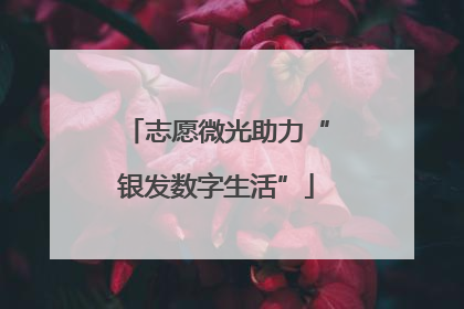 志愿微光助力“银发数字生活”