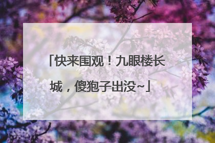 快来围观！九眼楼长城，傻狍子出没~