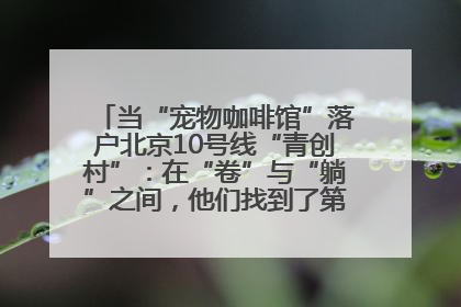 当“宠物咖啡馆”落户北京10号线“青创村”：在“卷”与“躺”之间，他们找到了第三种生活公式