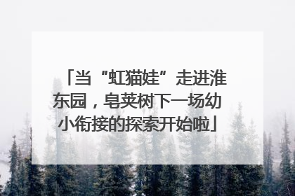 当“虹猫娃”走进淮东园，皂荚树下一场幼小衔接的探索开始啦