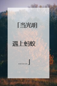当光明遇上蚂蚁……